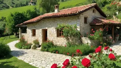 Photo of Особенности иммиграции и выбора недвижимости в Болгарии