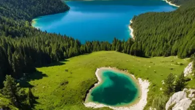 Photo of Горные системы Болгарии и их уникальность